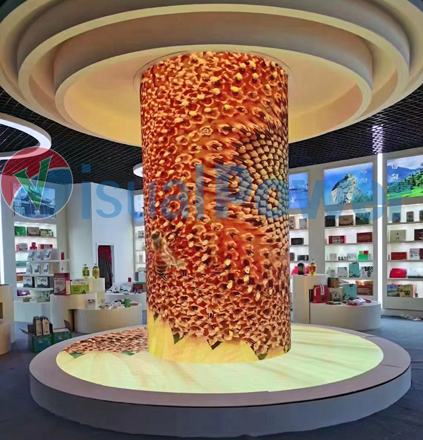 ring led display